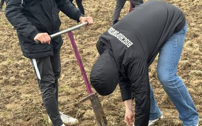 4000 neue Bäume für Sachsen